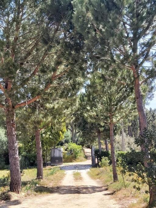 Casa Vale Nicolau Villa Arganil Bagian luar foto