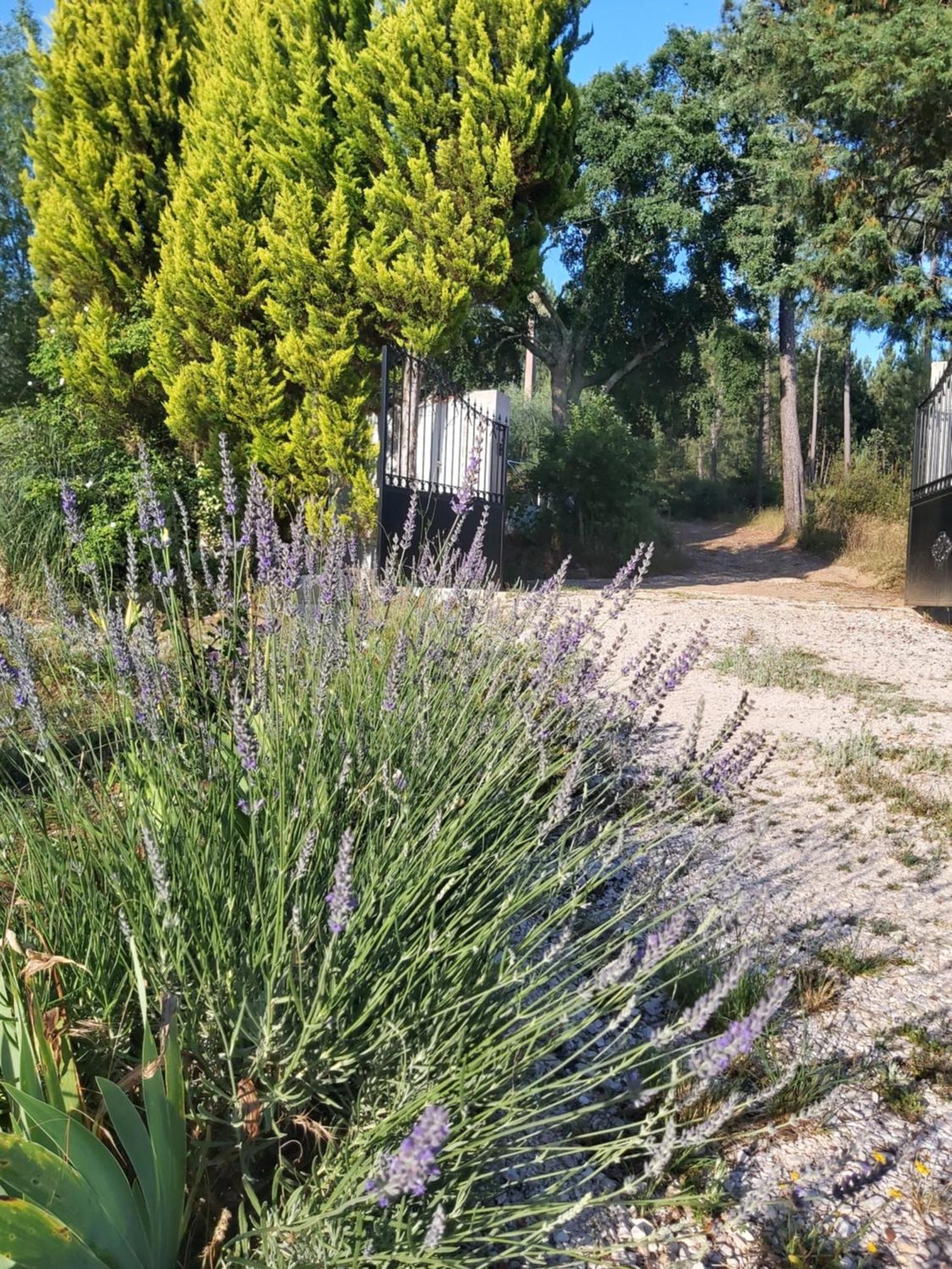 Casa Vale Nicolau Villa Arganil Ruang foto